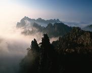 儿歌二：树荫